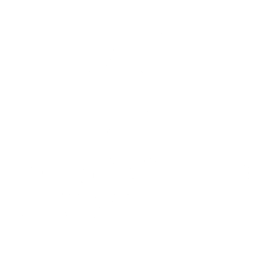 Momentum energy logo-white