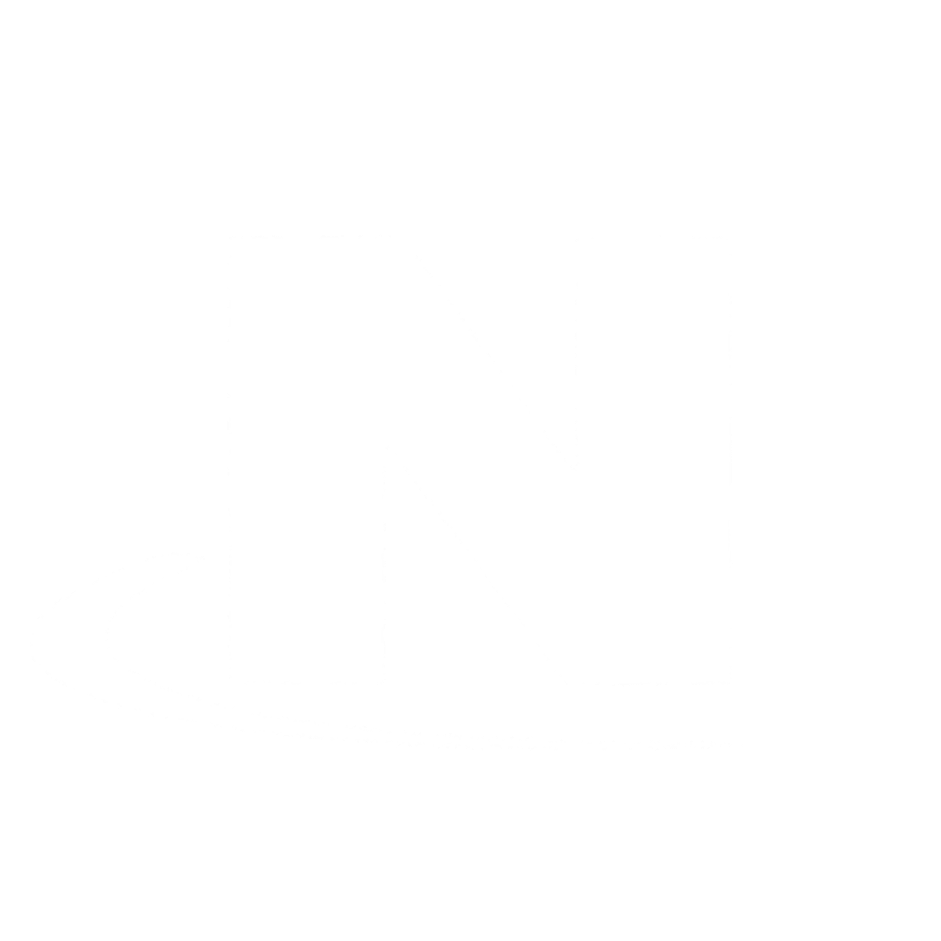 Newsday white logo 1